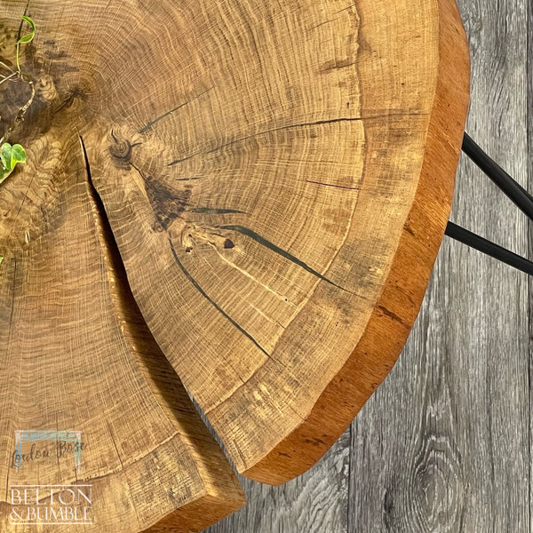 Oak Slice Gold Resin Coffee Table – angled view showing proportions and stance