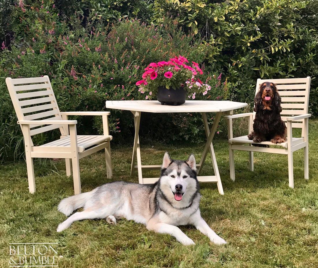 Revamping Your Outdoor Space: Painting or Staining Furniture for your Garden