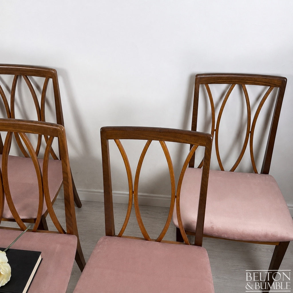 Set of Four Modern G-Plan Curve Back Teak & Afrormosia Dining Chairs by E. Gomme with Dusky Pink Velvet, 1970’s