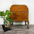 Burr Walnut Bureau Writing Desk-Belton & Bumble