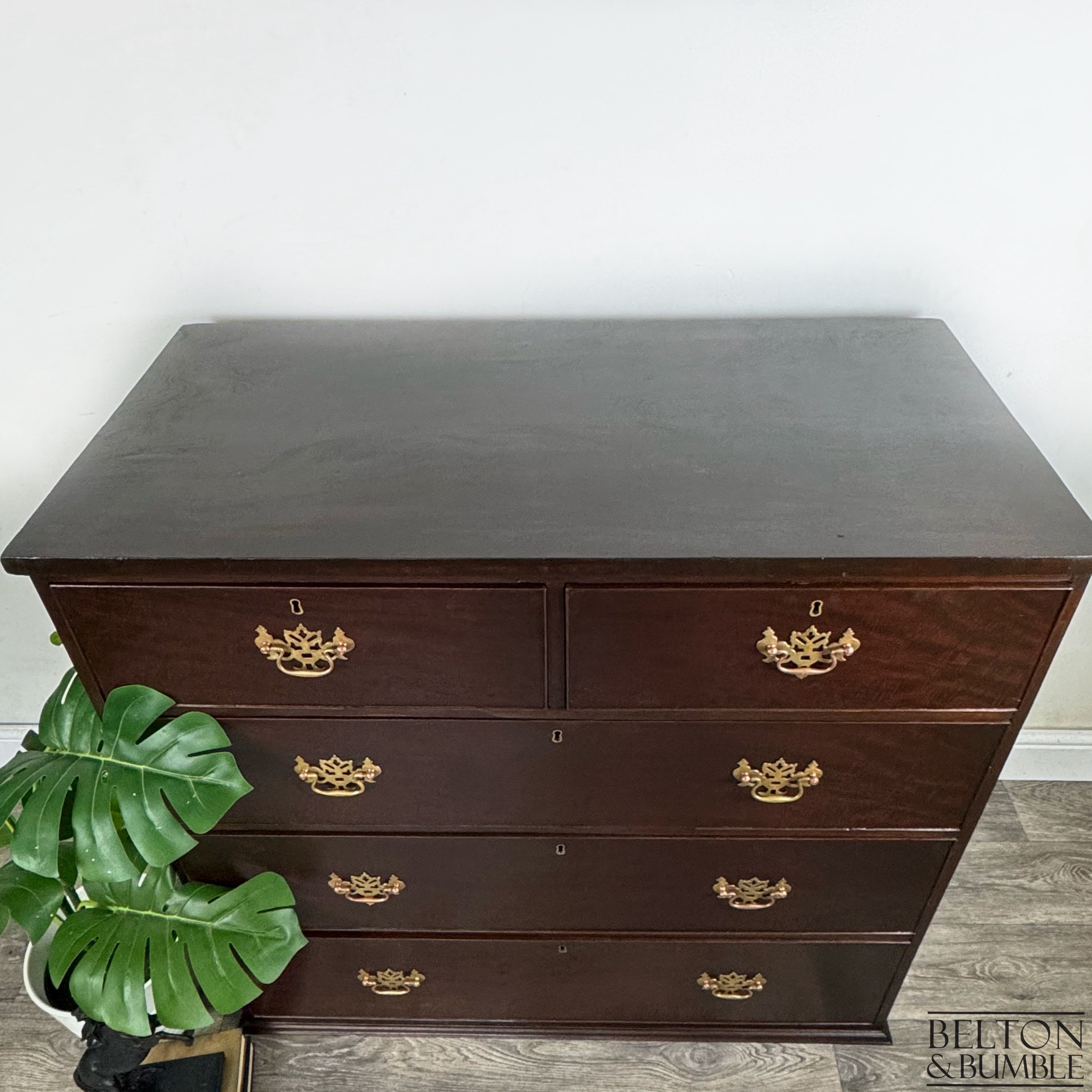 Antique Style Solid Wood Chest of Drawers in Mahogany and Walnut