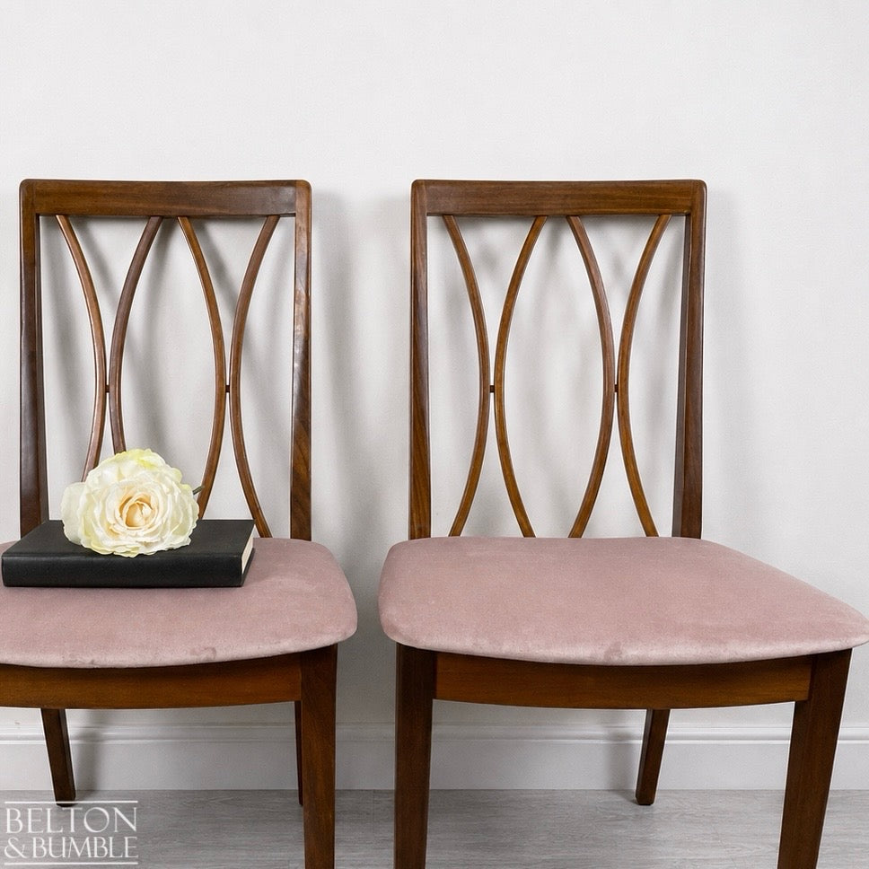 Set of Four Modern G-Plan Curve Back Teak & Afrormosia Dining Chairs by E. Gomme with Dusky Pink Velvet, 1970’s