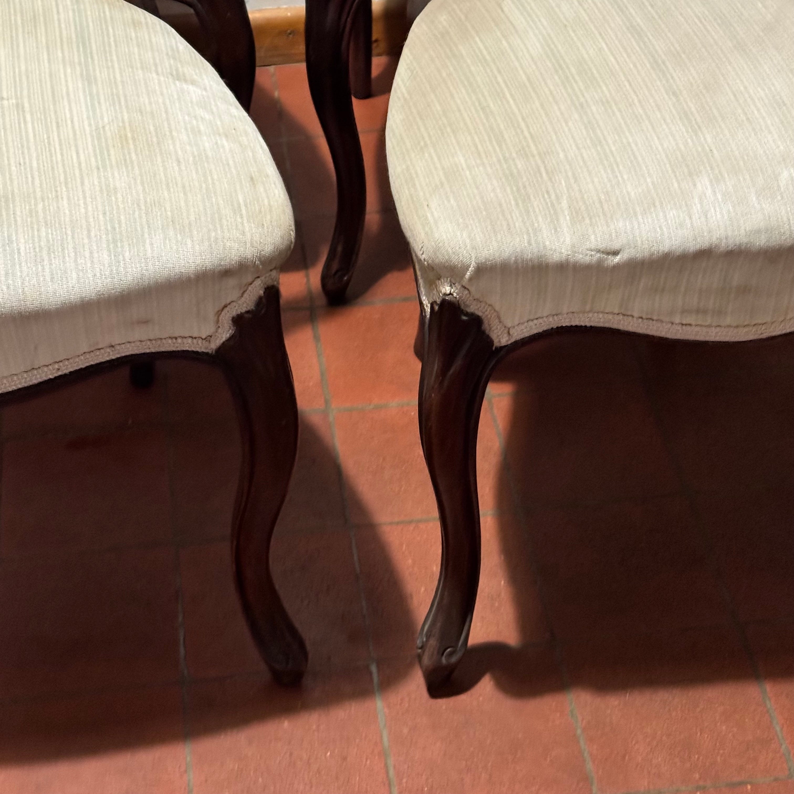 Set of Six Victorian Balloon-Back Dining Chairs – Ready for Custom Commission-Belton & Bumble