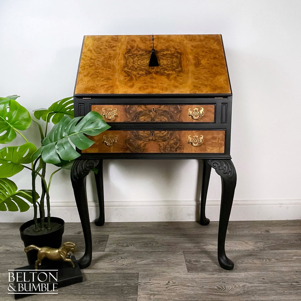 Queen Anne Vintage Burr Walnut Long Legged Bureau Writing Desk in Black-Belton & Bumble