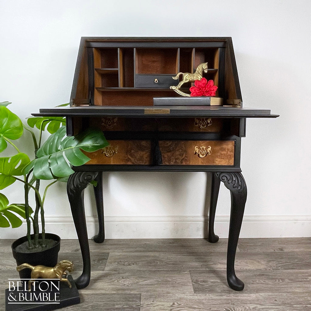 Queen Anne Vintage Burr Walnut Long Legged Bureau Writing Desk in Black-Belton & Bumble