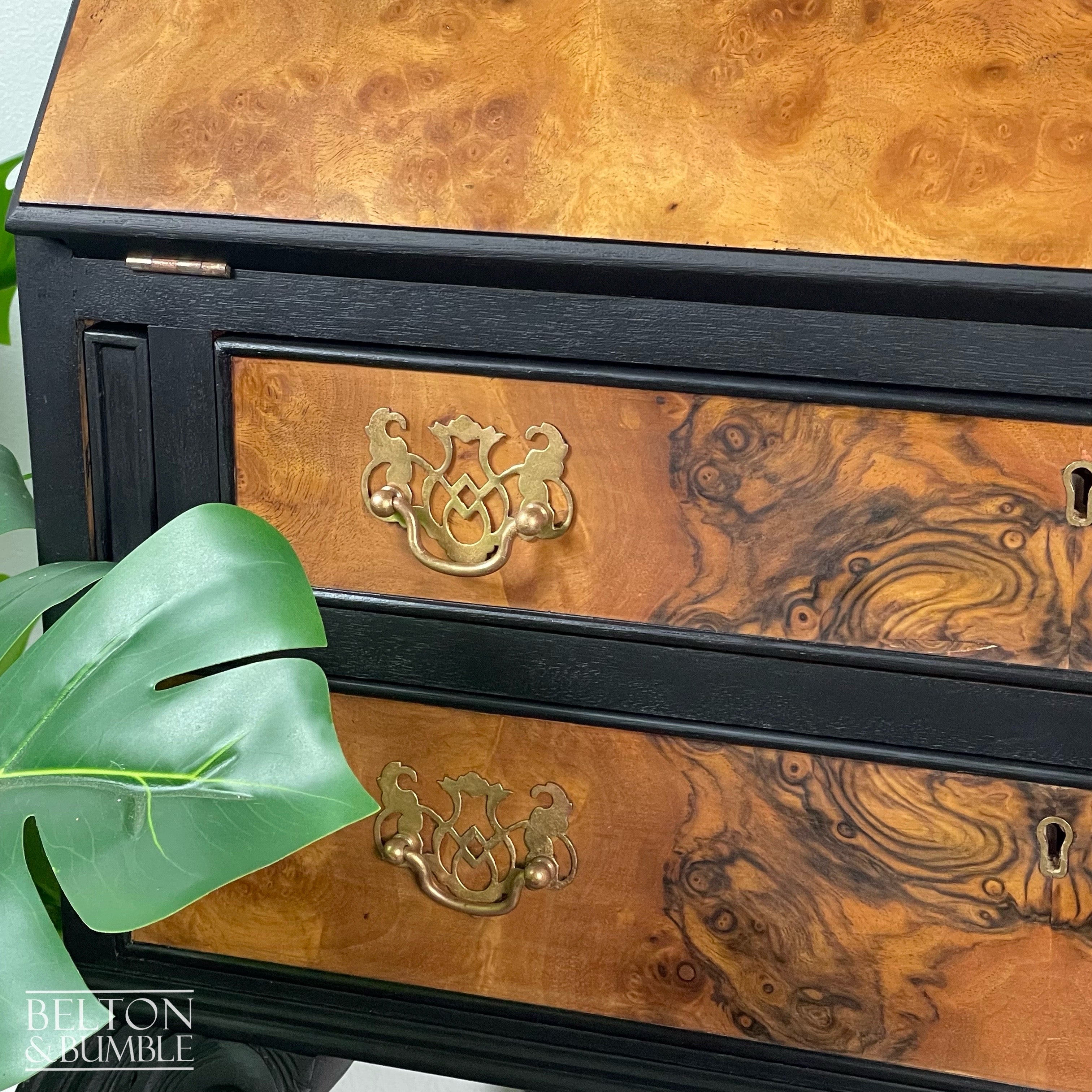 Queen Anne Vintage Burr Walnut Long Legged Bureau Writing Desk in Black-Belton & Bumble