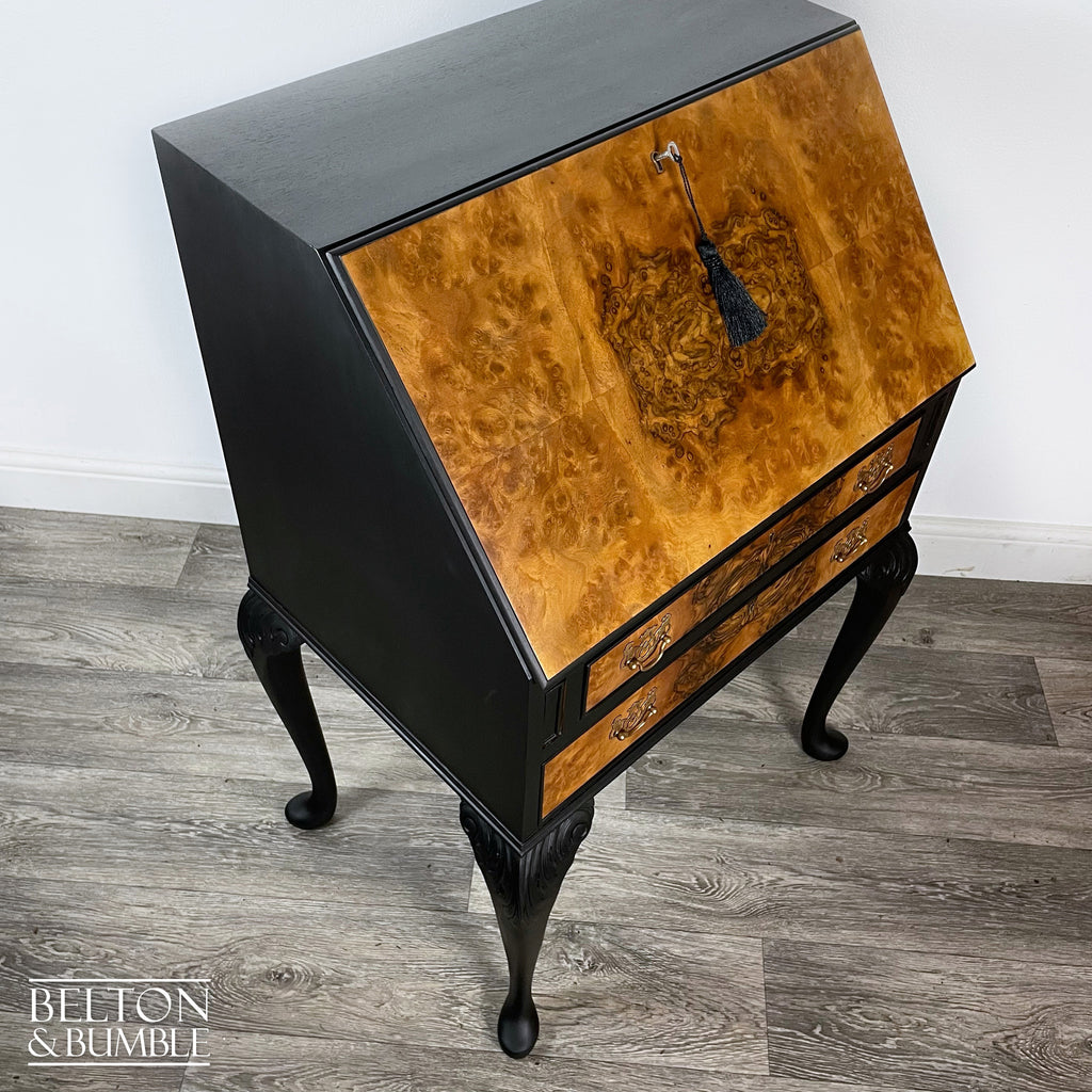 Queen Anne Vintage Burr Walnut Long Legged Bureau Writing Desk in Black-Belton & Bumble