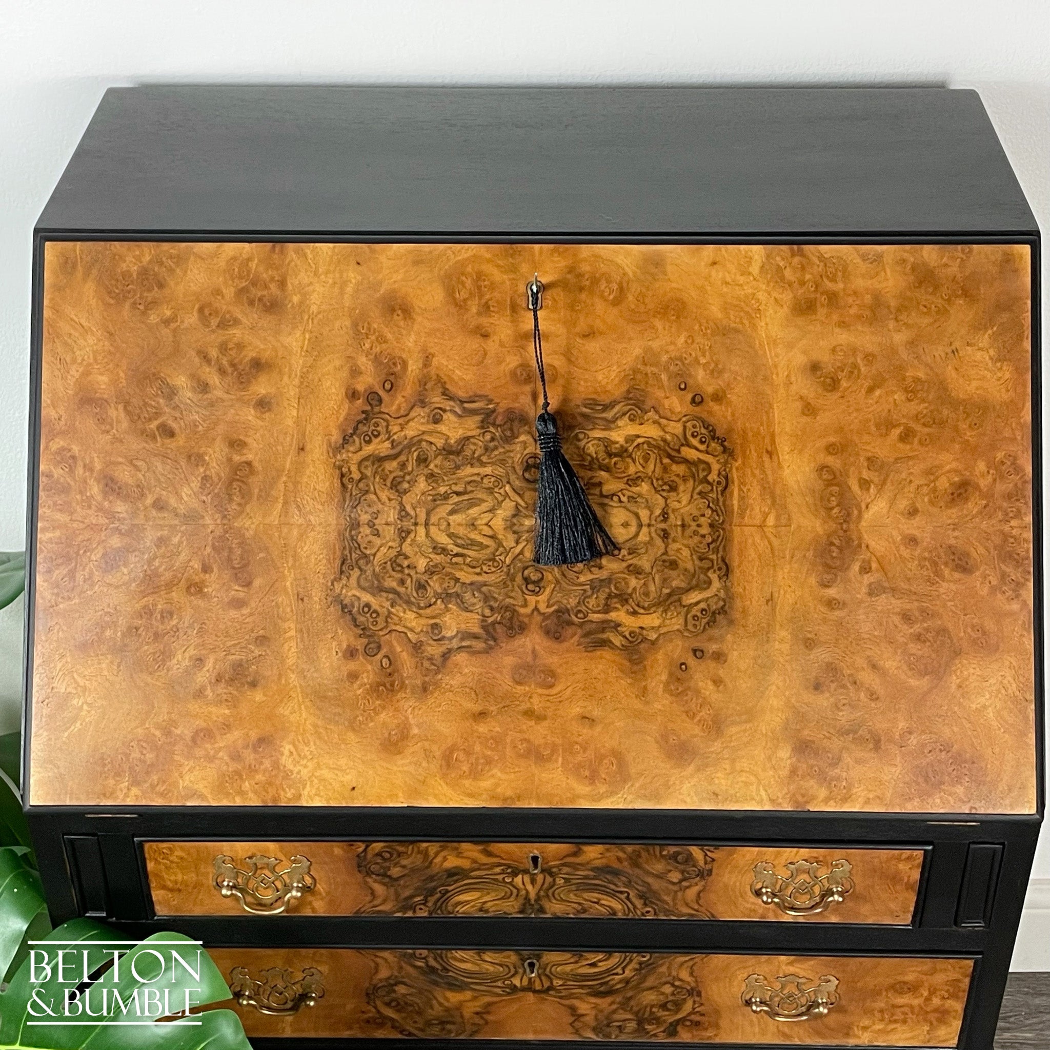 Queen Anne Vintage Burr Walnut Long Legged Bureau Writing Desk in Black-Belton & Bumble