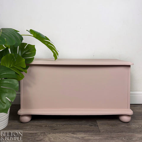 Blush pink blanket box with curved edge lid and ball feet, styled beside a monstera plant.