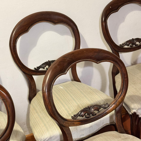 Set of Six Victorian Balloon-Back Dining Chairs – Ready for Custom Commission-Belton & Butler