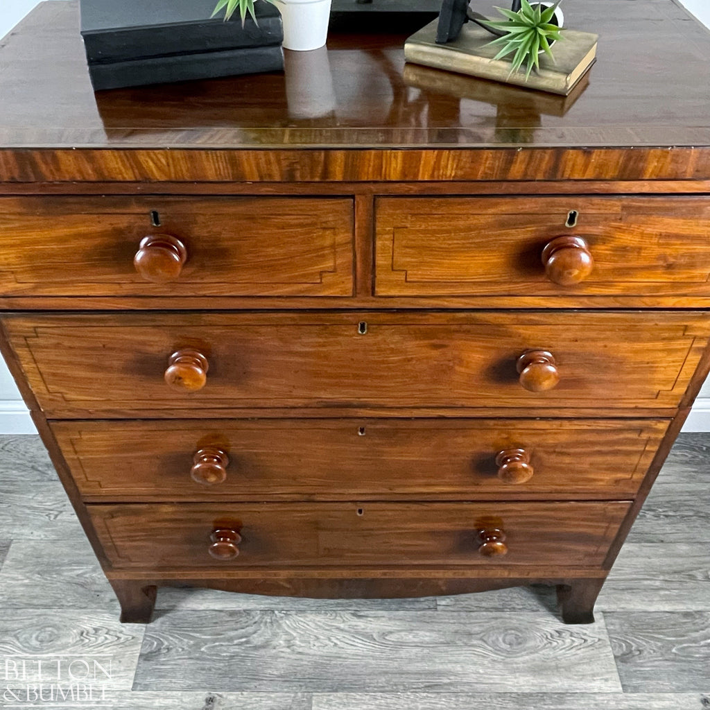 Victorian Mahogany Five Drawer Chest of Drawers-Belton & Bumble