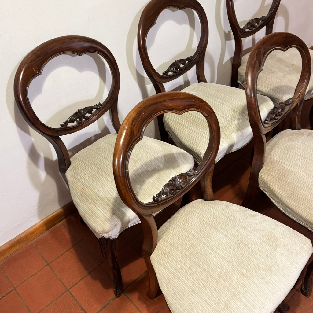 Set of Six Victorian Balloon-Back Dining Chairs – Ready for Custom Commission-Belton & Bumble