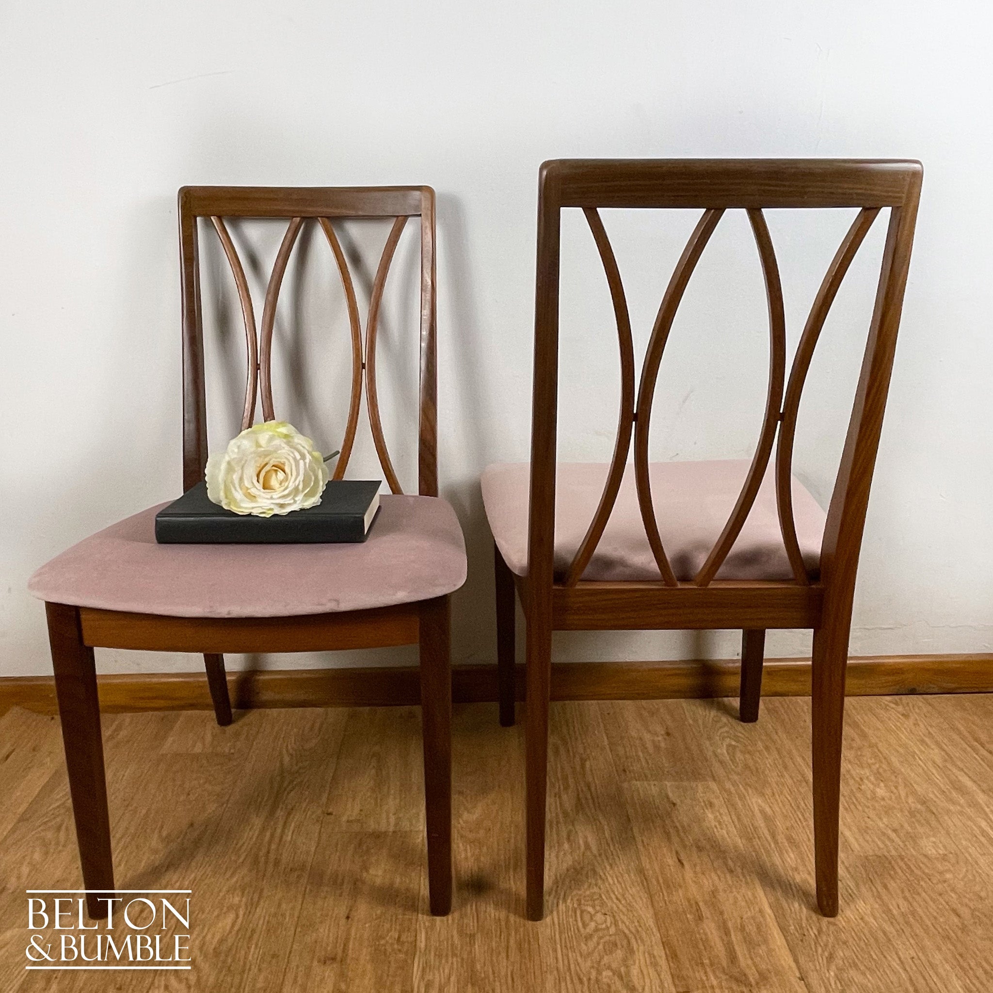Four G Plan Curve Back Dining Chairs with Dusky Pink Velvet – back view showing overall design