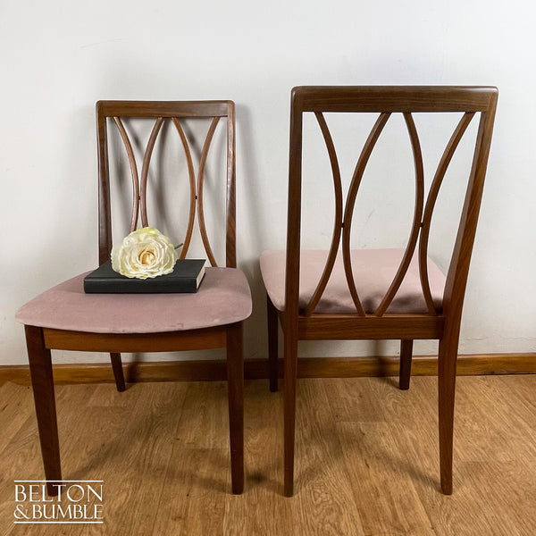 Four G Plan Curve Back Dining Chairs with Dusky Pink Velvet – back view showing overall design