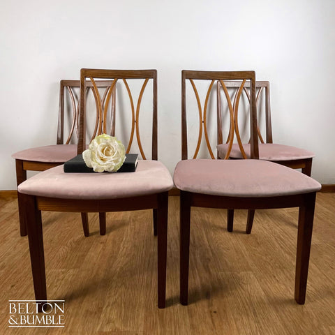 Four G Plan Curve Back Dining Chairs with Dusky Pink Velvet – Styled product shot with complementary decor to suggest scale