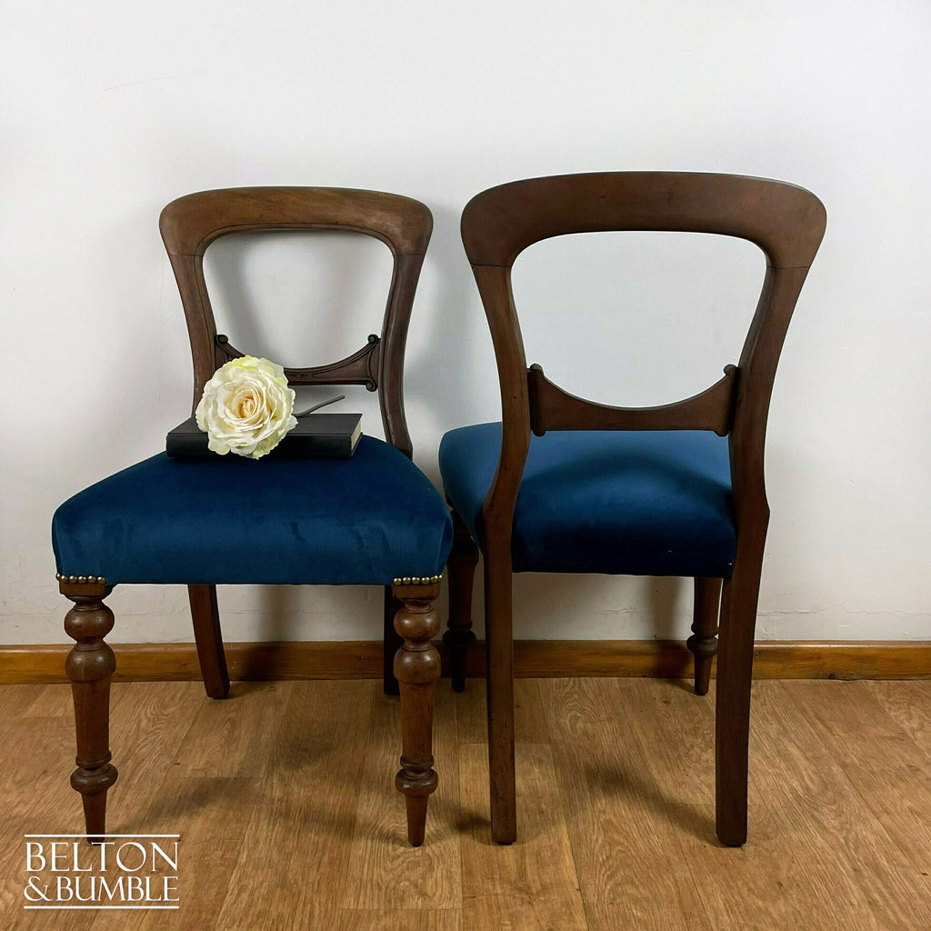 Set of Four Mahogany Dining Chairs with Navy Velvet-Belton & Bumble
