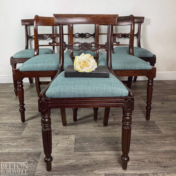 Set of six antique mahogany dining chairs featuring intricately carved backs and turned front legs, each with a teal upholstered seat, arranged in a staggered display on wood flooring with a single yellow rose resting on the front chair.