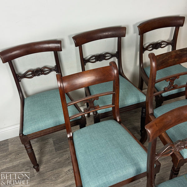 Group of six restored mahogany dining chairs with carved back details and teal upholstered seats, arranged on wooden flooring against a light wall, showcasing the craftsmanship and rich wood grain of each chair.