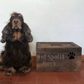 Personalised Stained Wooden Dog Toy Boxes with Lid-Belton & Bumble