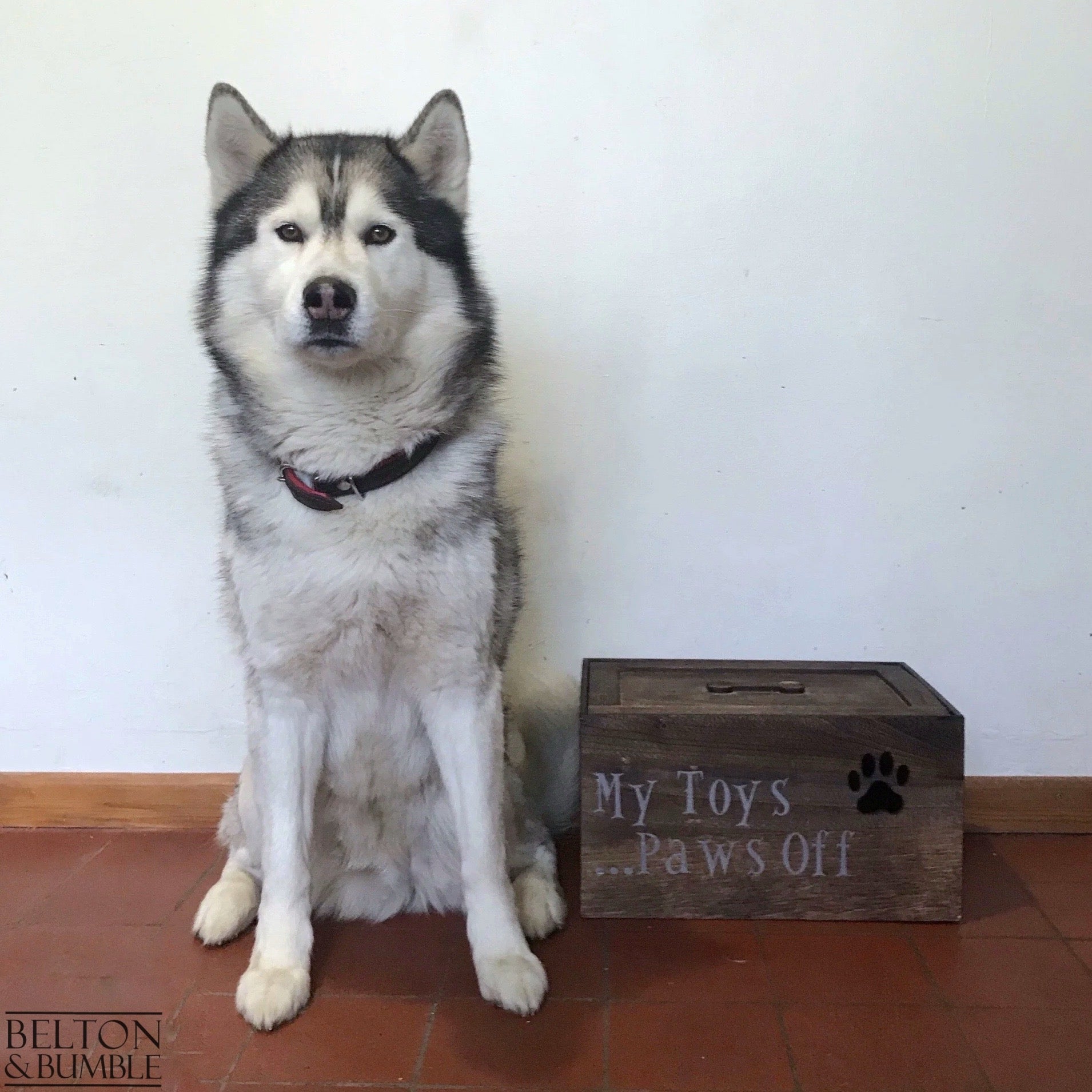 Personalised Stained Wooden Dog Toy Boxes with Lid-Belton & Bumble