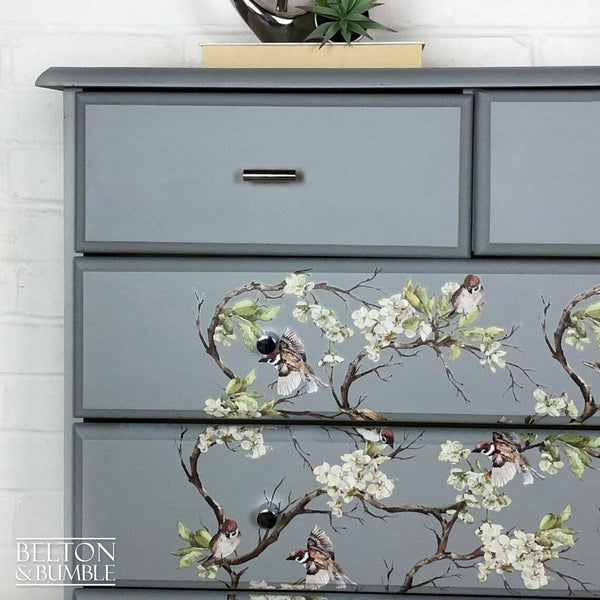 Pine Chest of Drawers in Grey with Bird Print-Belton & Butler