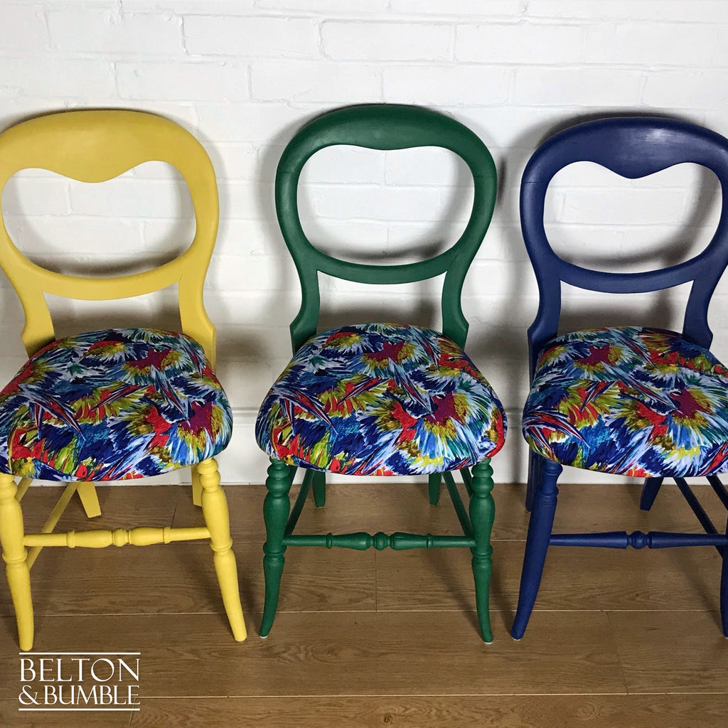 Set of 6 Mismatching Multicoloured Balloon Backed Dining Chairs in Bird Print-Belton & Bumble