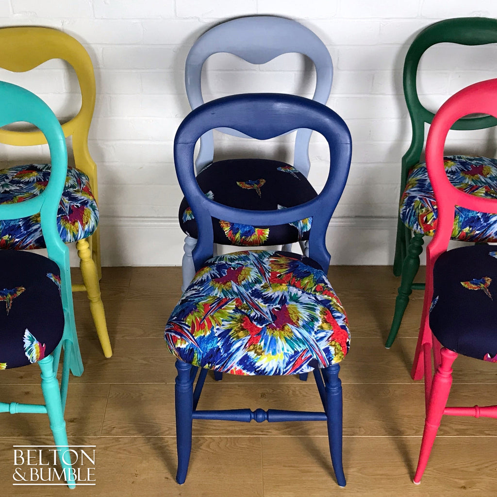 Set of 6 Mismatching Multicoloured Balloon Backed Dining Chairs in Bird Print-Belton & Bumble