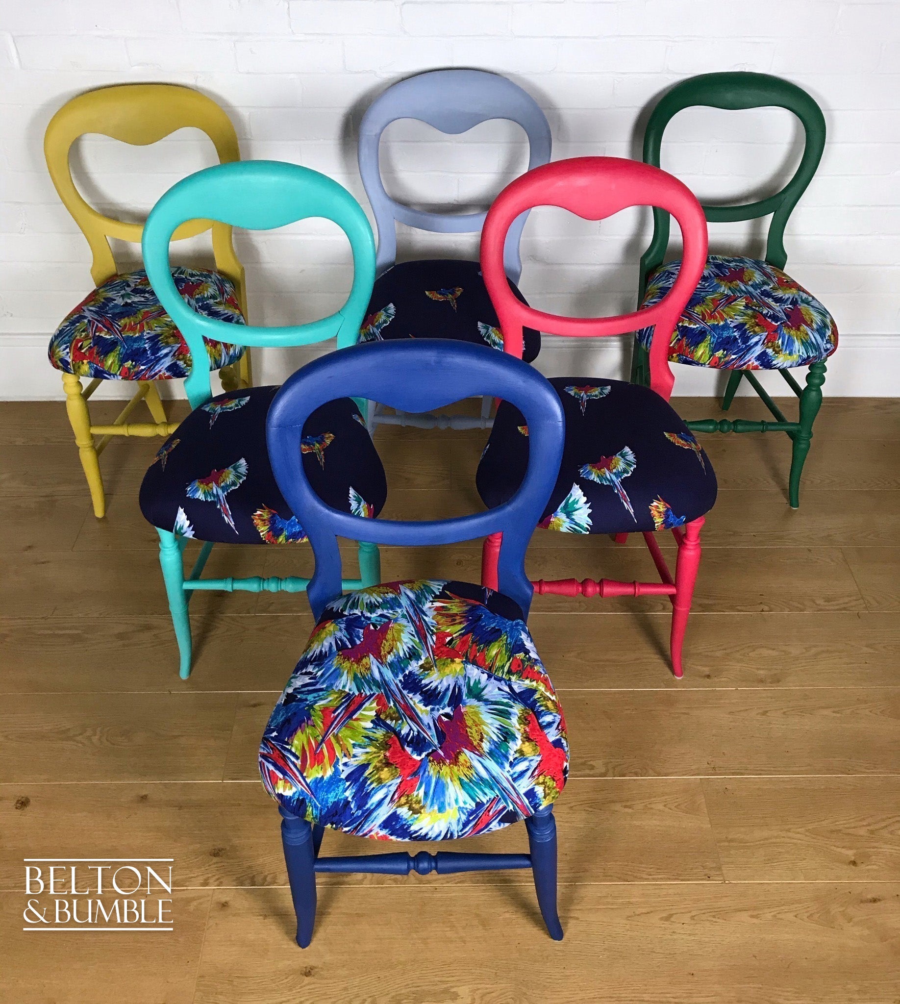 Set of 6 Mismatching Multicoloured Balloon Backed Dining Chairs in Bird Print-Belton & Bumble