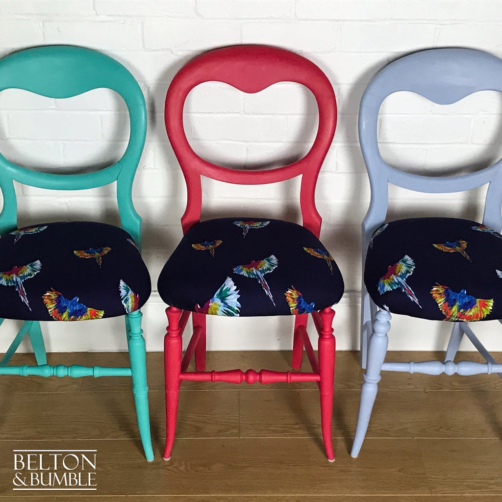 Set of 6 Mismatching Multicoloured Balloon Backed Dining Chairs in Bird Print-Belton & Bumble
