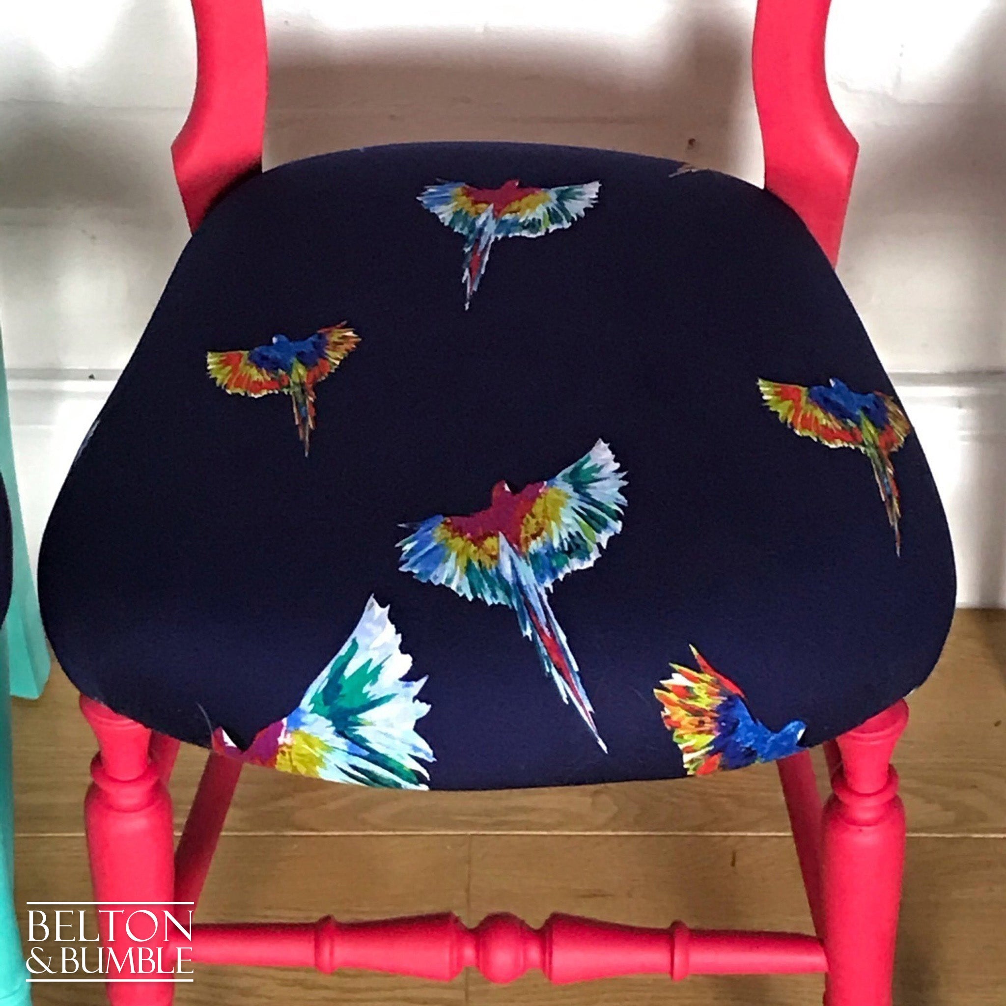 Set of 6 Mismatching Multicoloured Balloon Backed Dining Chairs in Bird Print-Belton & Bumble