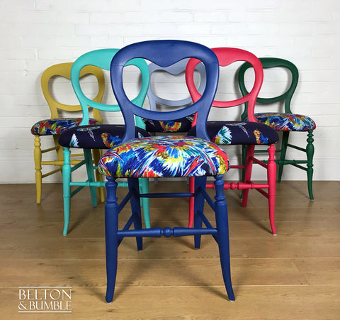 Set of 6 Mismatching Multicoloured Balloon Backed Dining Chairs in Bird Print-Belton & Butler