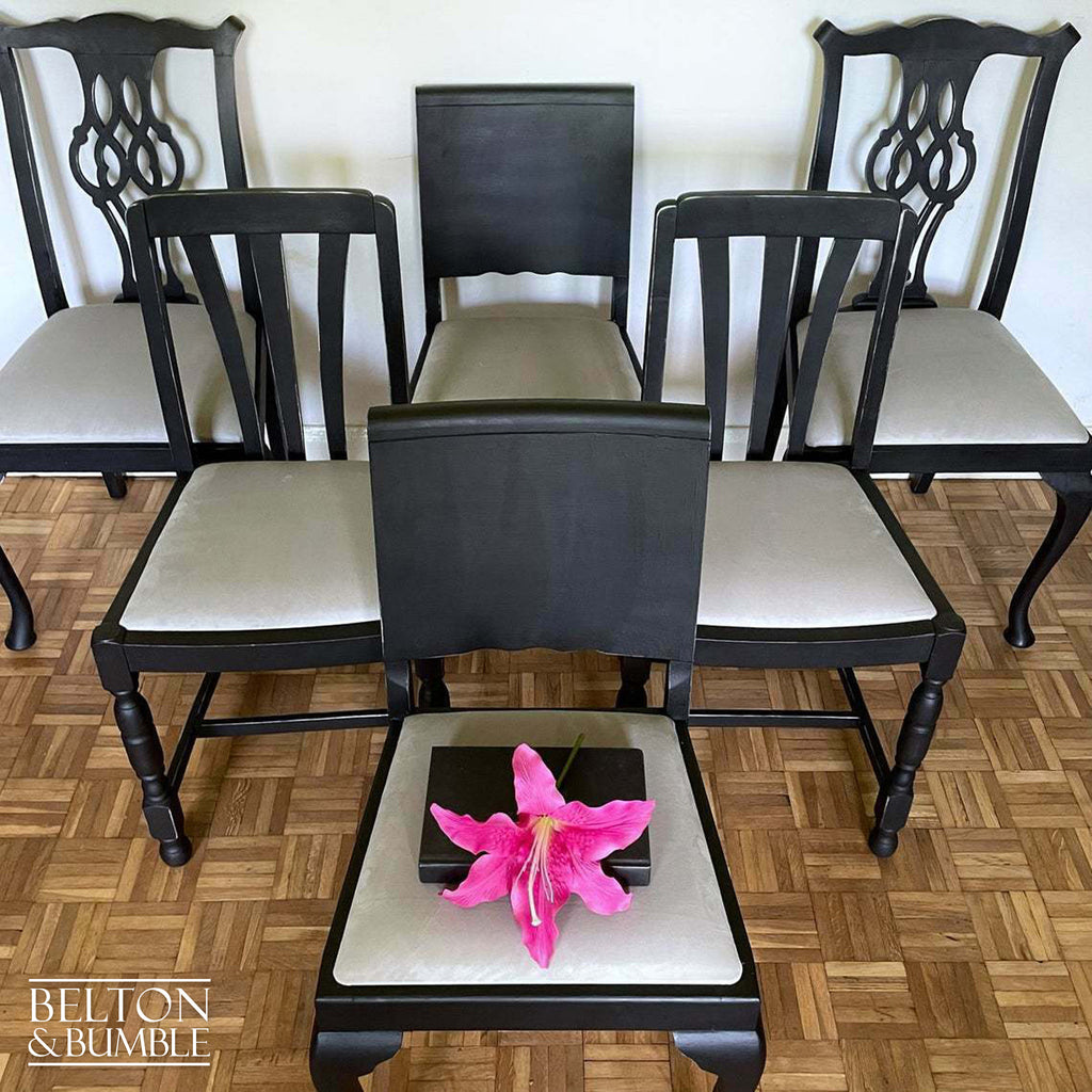 Set of Six Dining Chairs in Black with Light Grey Velvet-Belton & Bumble