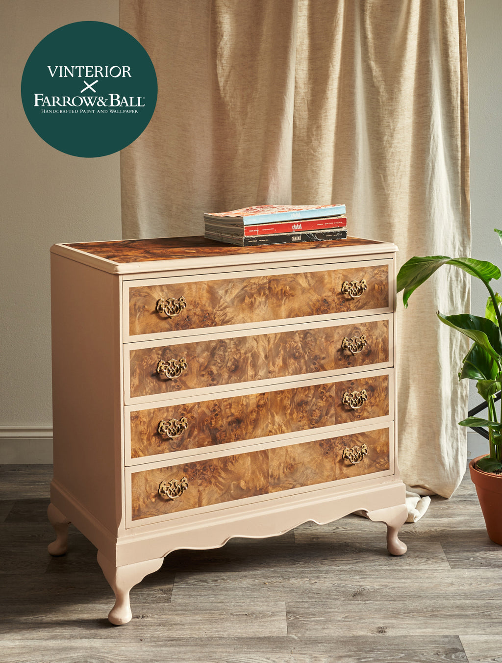 Four Drawer Chest of Drawers in Dusky Pink and Burr Walnut-Belton & Bumble